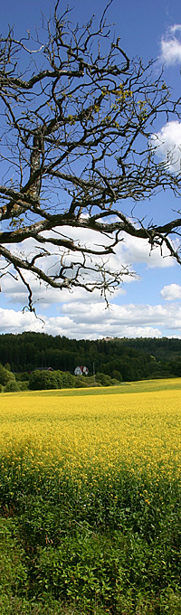 Landgasthof zum Stern - Die Umgebung